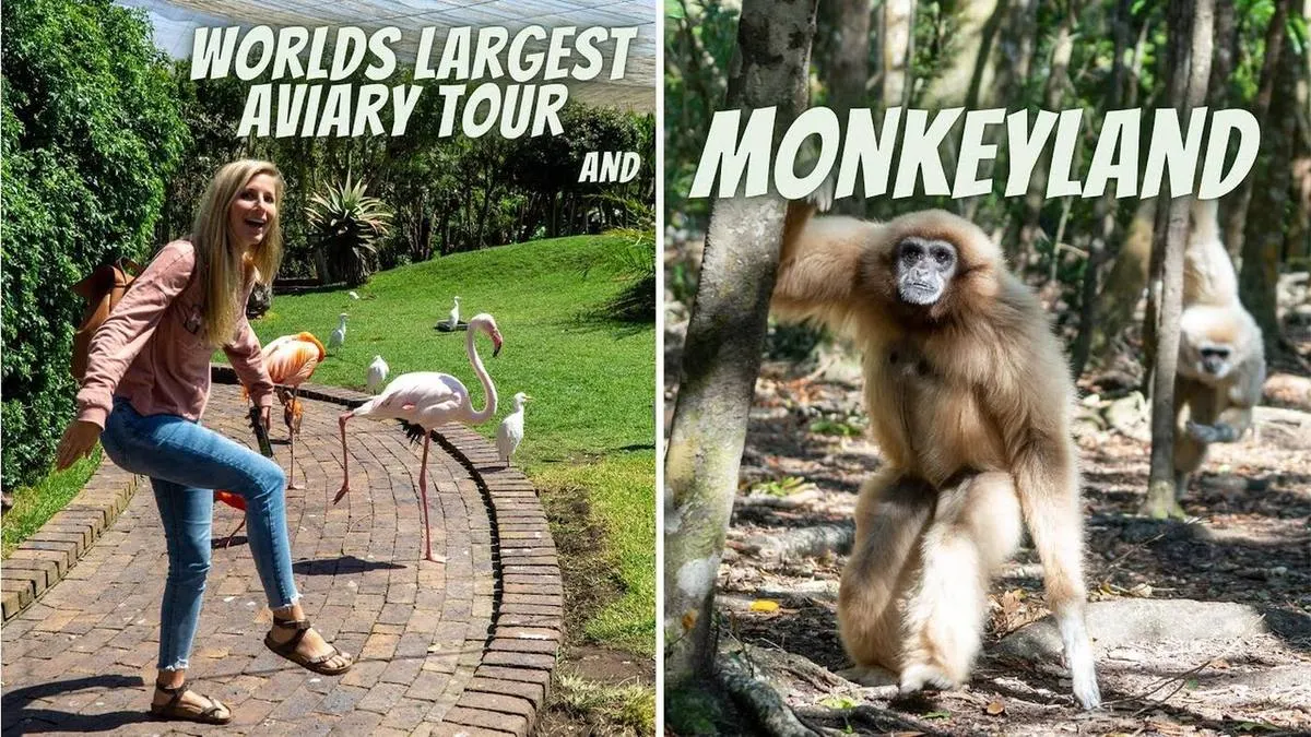 Monkeyland & Birds of Eden Sanctuary Experience — The Crags, Plettenberg Bay