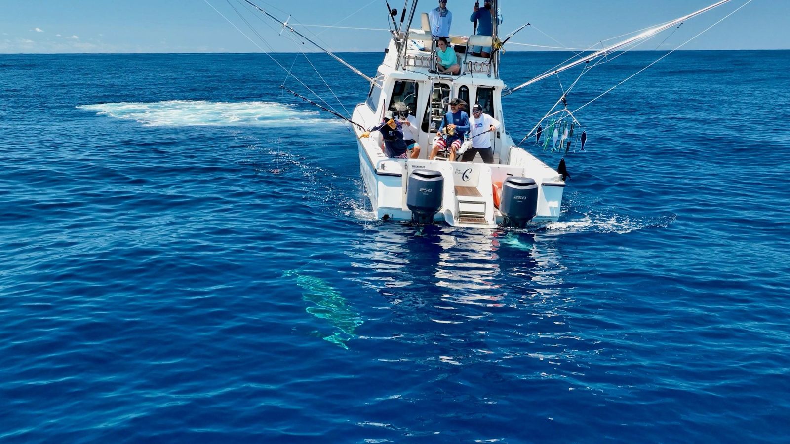 Mozambique Deep-Sea Fishing Safari — Marlin & Sailfish — Vilankulo, Mozambique