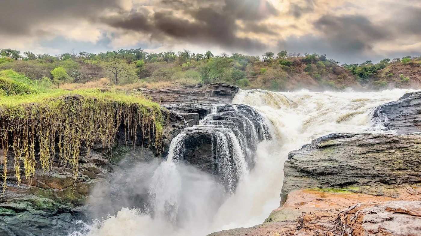Murchison Falls & Shoebill Safari
