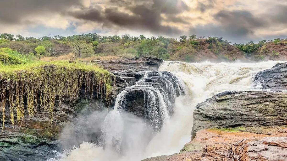 Murchison Falls & Shoebill Safari