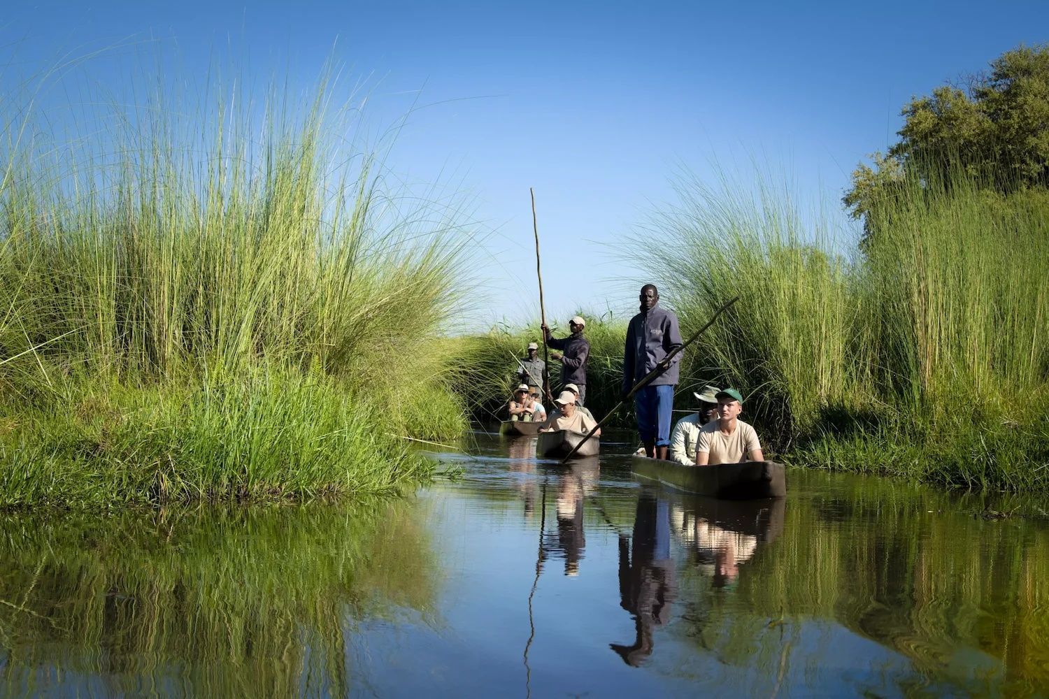 Okavango Delta Mokoro Water Safari & Island Camping — Okavango Delta, Botswana