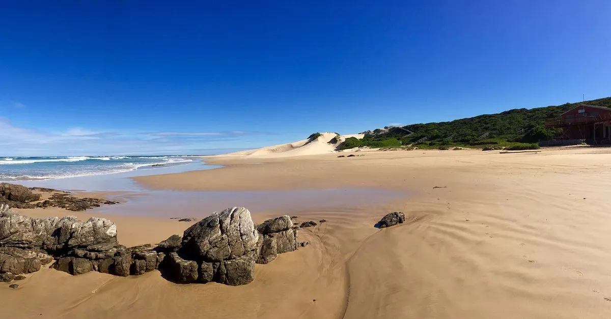 Sardinia Bay & Sacramento Trail Coastal Hike — Port Elizabeth