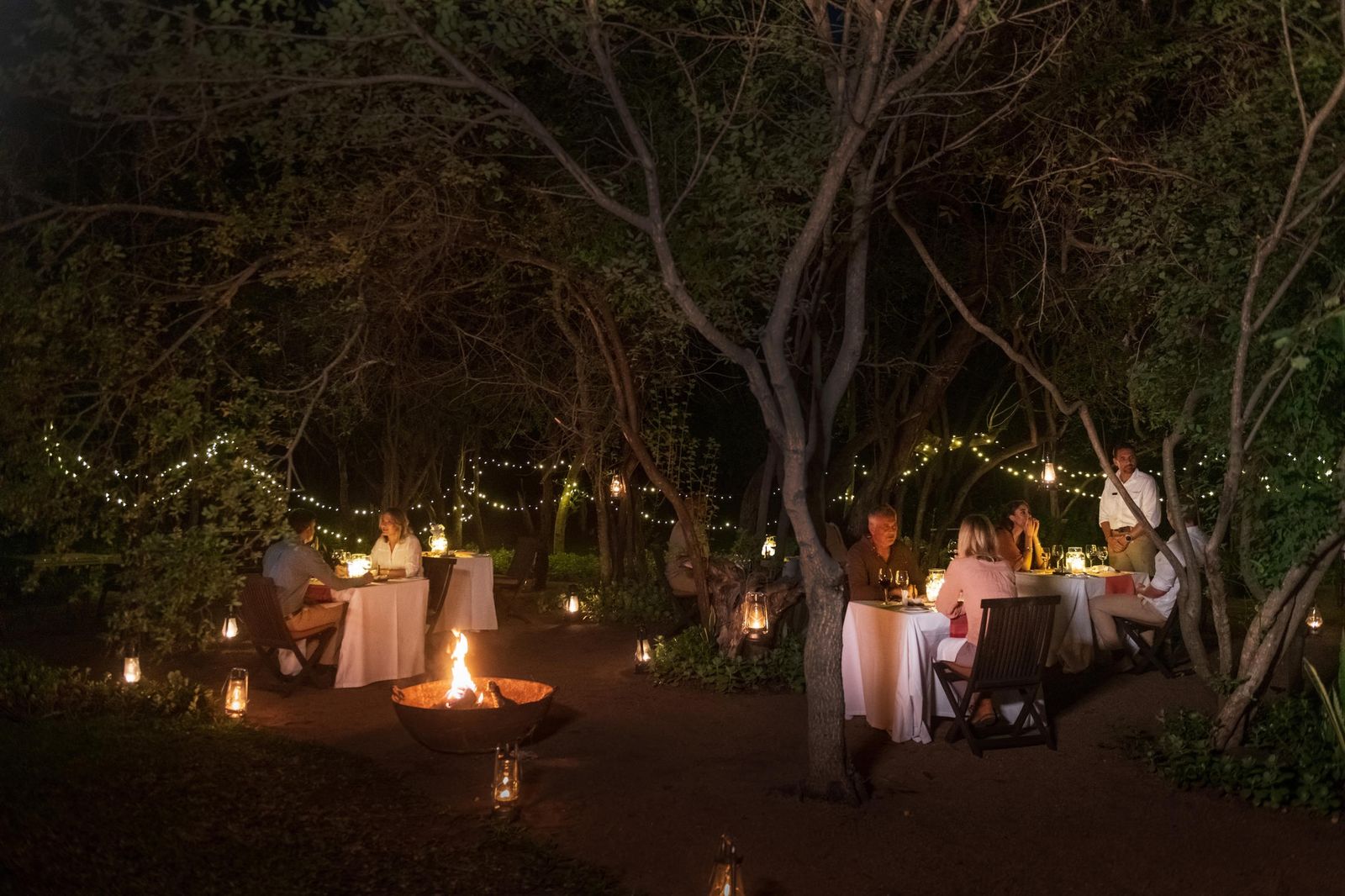 Sabi Sands Bush Dinner Under the Stars — Romantic Safari Experience — Sabi Sands, Greater Kruger