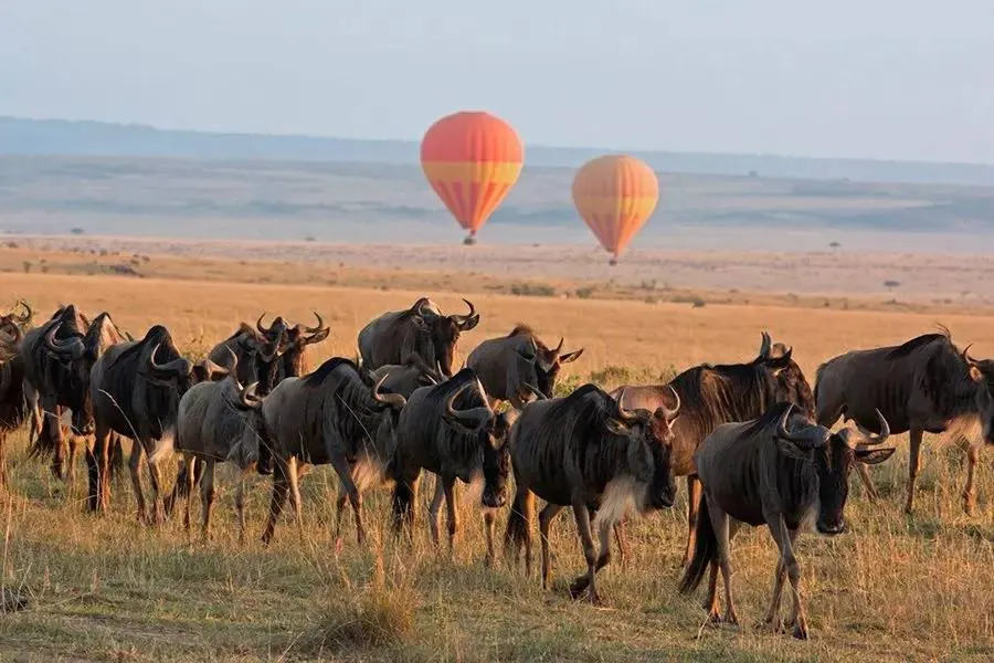 Serengeti Migration & Hot Air Balloon — 6-Day All-Inclusive — Serengeti National Park, Tanzania