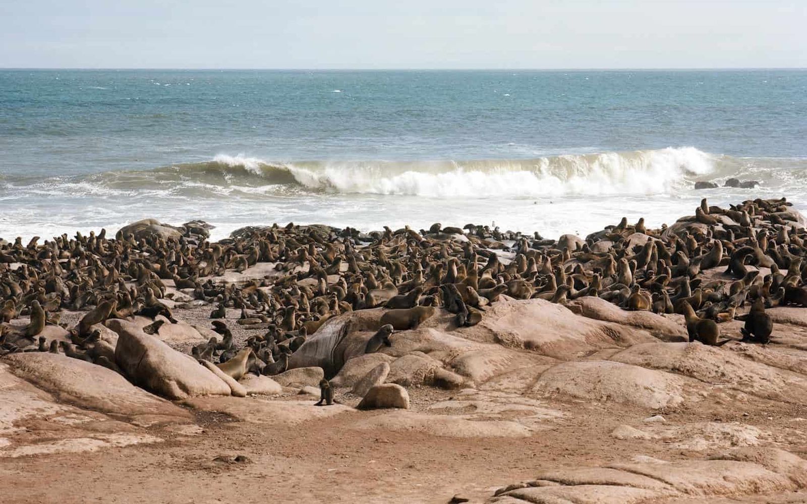 Skeleton Coast Fly-In Safari
