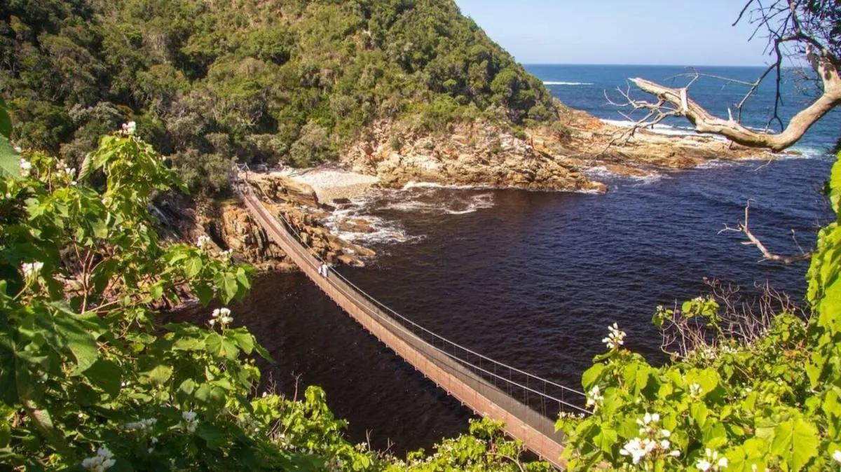 Storms River Mouth Suspension Bridge Trail Hike — Tsitsikamma, Garden Route